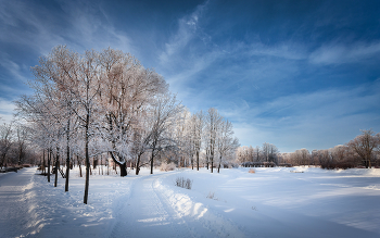 Im Winter Park ... / ***