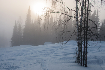 Nebel / ***