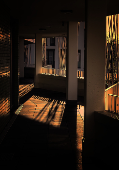 Abendlicht / ***