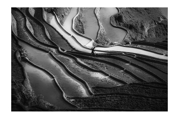  / "Rice&Icon of Vietnam" B&W art photo project