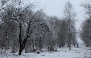 Landschaft / ***