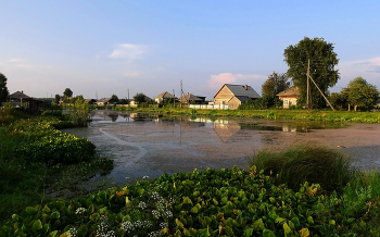 Sibirische Hinterwäldler / ***