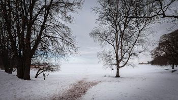 In Winter Park ... / ***