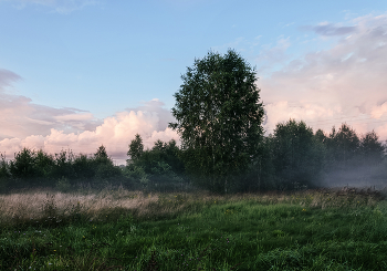 Am Ende des Tages / ***