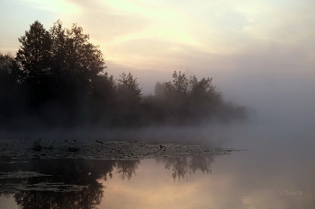 Herbstmorgen. / ***