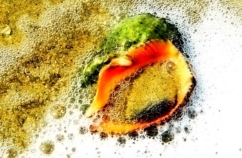 Sea foam / ***