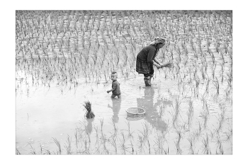  / "Rice&Icon of Vietnam" B&W art photo project