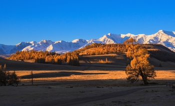 Gorny Altai. / ***