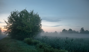 July morning / ***