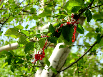 Mit der Sonne / ***
