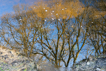 Spring Flip. / ***