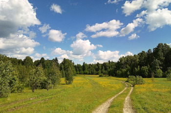 Einheimische Freiflächen / ***