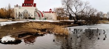 early March / ***