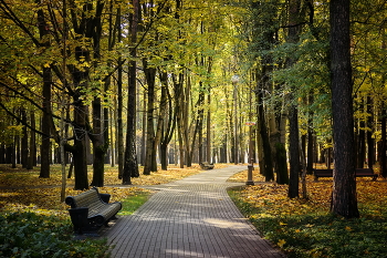 Herbst in der Stadt / ***