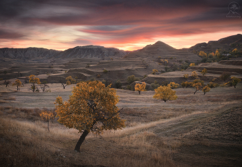 Autumn Sunrise / ***