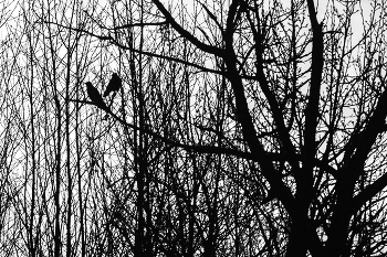 Life around / ***