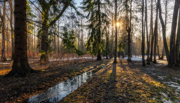 Erwachen / ***