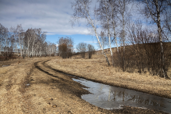 Der Frühling kommt / ***