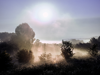 Licht / ***