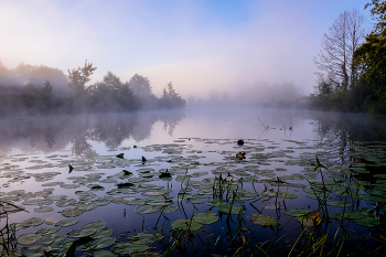 Morgen auf dem See. / ***