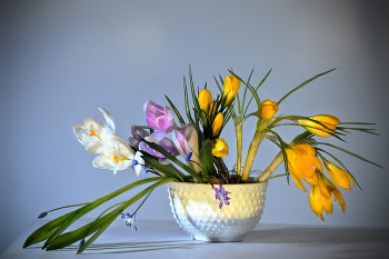 April / ***