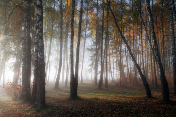 Herbst / -----------