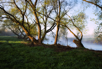Small river / ***
