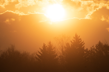 A new day. / ***