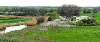Spring / ***