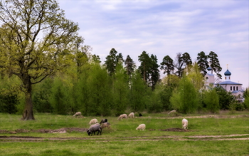 Befriedung / ***