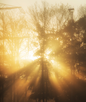 Licht / ***