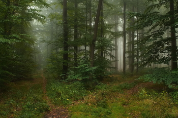 Kreuzung / ***