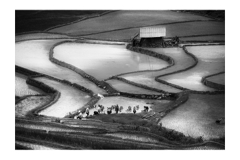  / "Rice&Icon of Vietnam" B&W art photo project