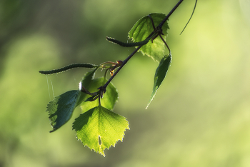 &nbsp; / 23-04-2023.