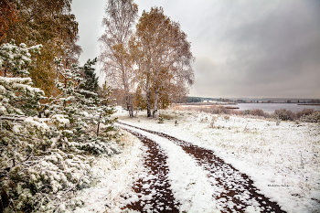 November / ***