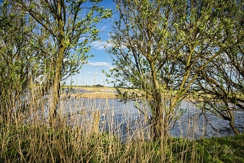 Die letzten Tage im April / Ein Tag an der Nordsee.