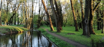 Spring in the park / ***