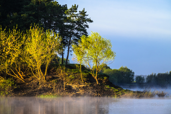 Morgendämmerung / ***