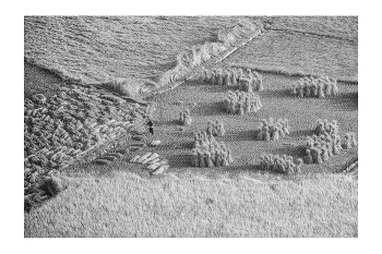  / "Rice&Icon of Vietnam" B&W art photo project