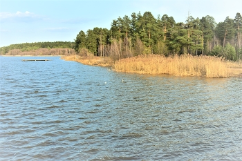 Auf dem See / ***