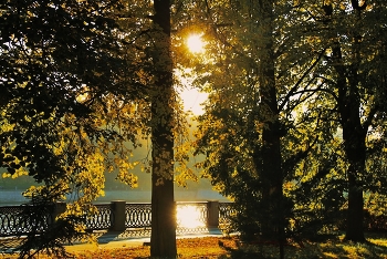 in the park / ***