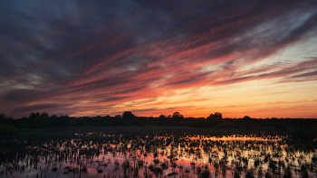 &quot;Sunset&quot; / ***