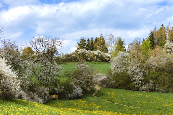 April. / ***