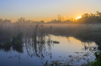 Morgendämmerung / ***