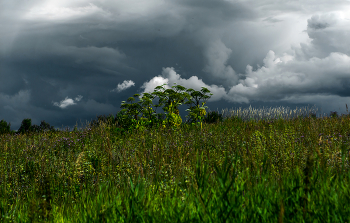 Waiting for rain / ***