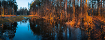 Licht eines neuen Tages / ***