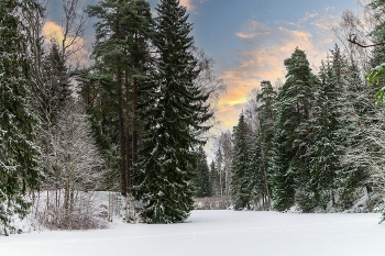 Frosty / ***