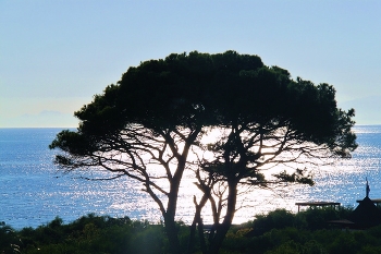 by the sea / ***
