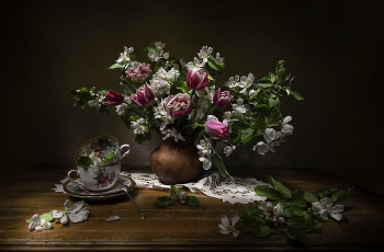 May Blossom / ***