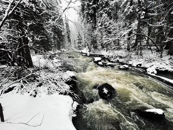 Spring Bank / ***